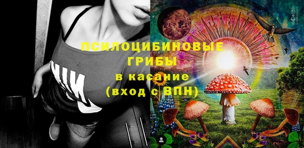 спиды Богданович