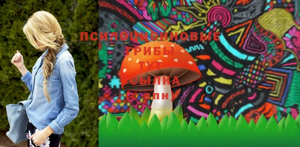 спиды Богданович
