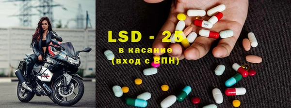 спиды Богданович