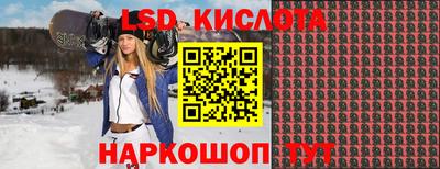 ГАЛЛЮЦИНОГЕННЫЕ ГРИБЫ Кингисепп
