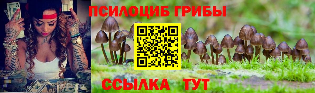 Лыткарино  Псилоцибиновые грибы Psilocybine cubensis  Вход с VPN 